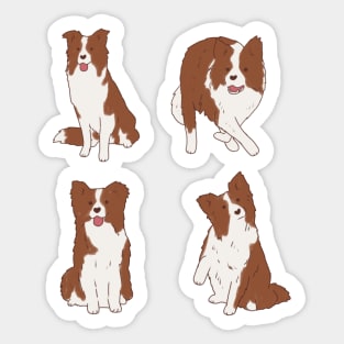 Brown border collie pack Sticker